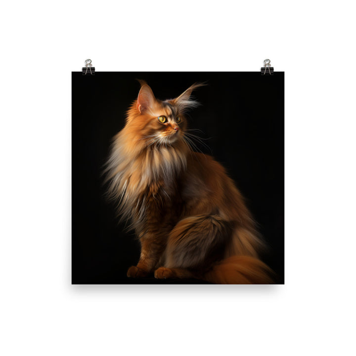 Beauty of Somali Cat Photo paper poster - PosterfyAI.com