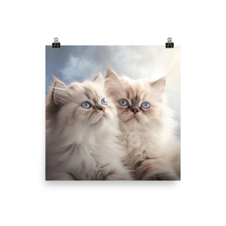 Serene World of Himalayan Kittens Photo paper poster - PosterfyAI.com