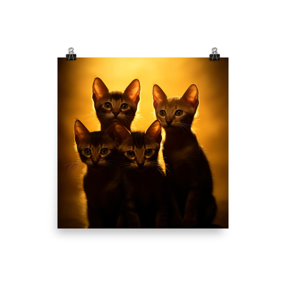 Bombay Kittens Photo paper poster - PosterfyAI.com