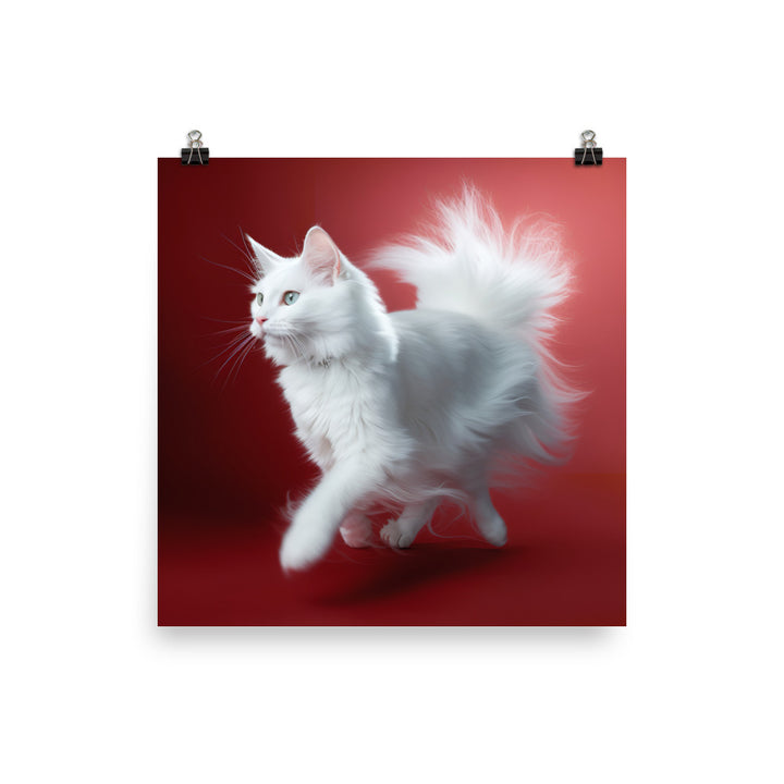 Turkish Angora Cat Photo paper poster - PosterfyAI.com