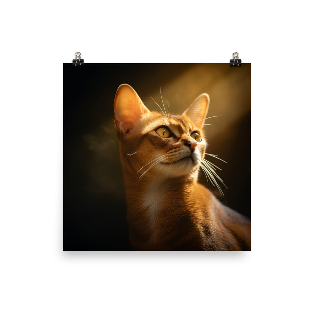 Abyssinian Cat Photo paper poster - PosterfyAI.com