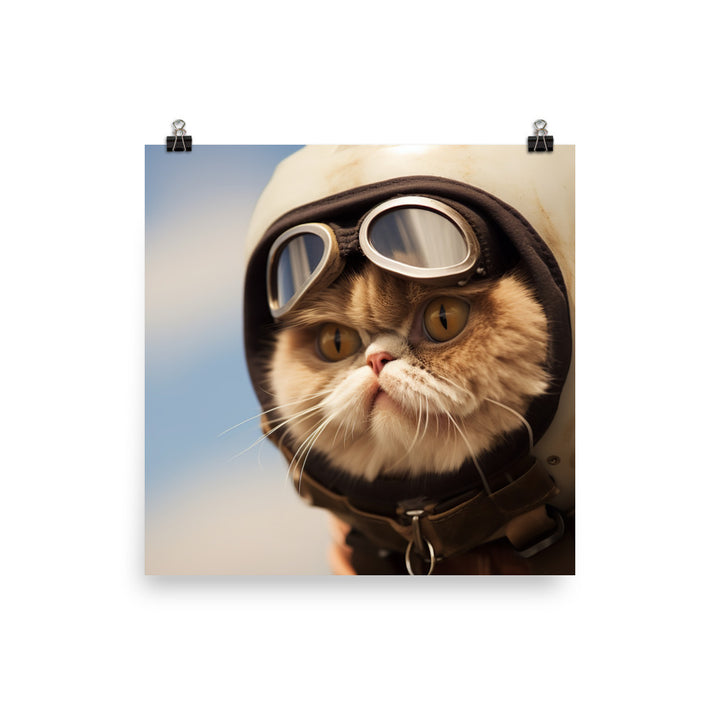Exotic Shorthair Pilot Photo paper poster - PosterfyAI.com