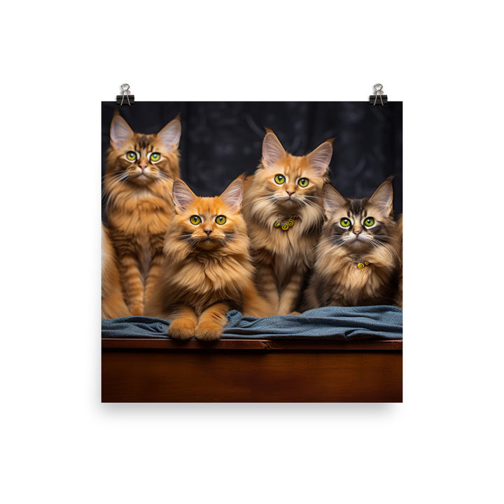 Somali Photo paper poster - PosterfyAI.com