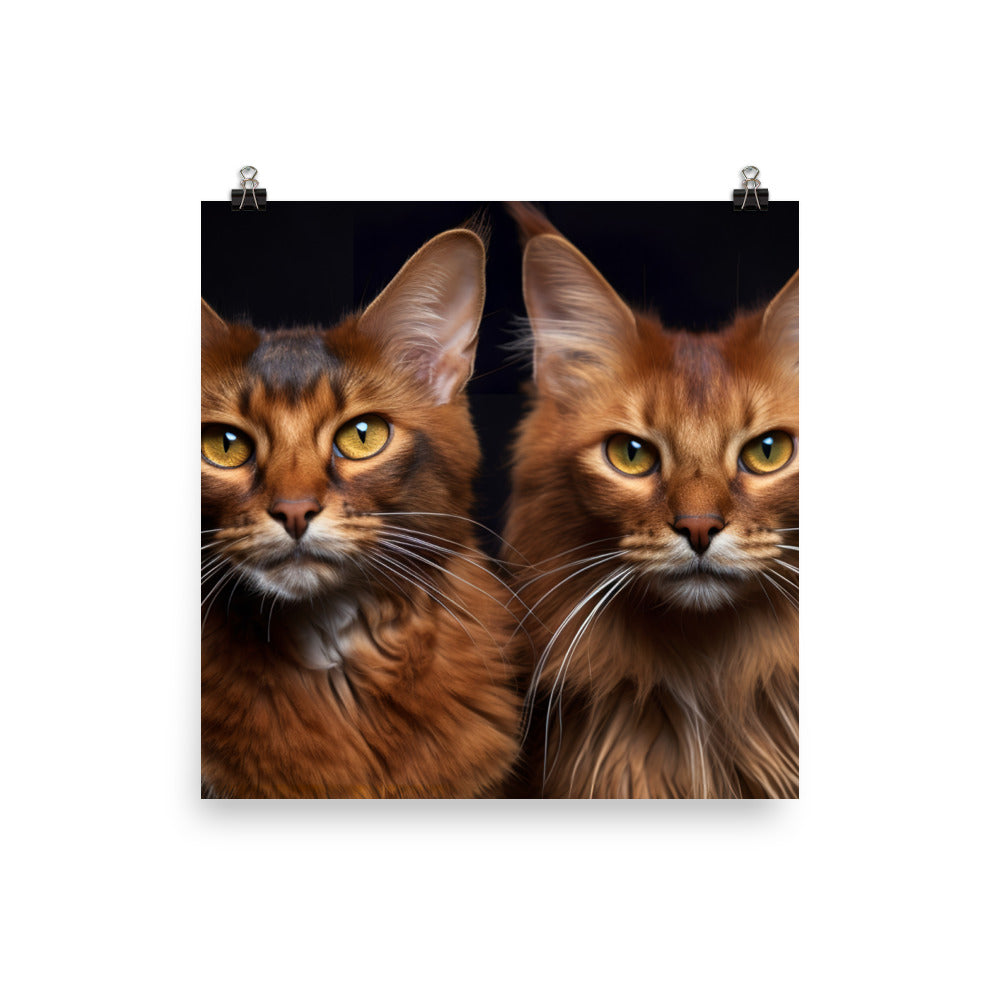 Somali Photo paper poster - PosterfyAI.com