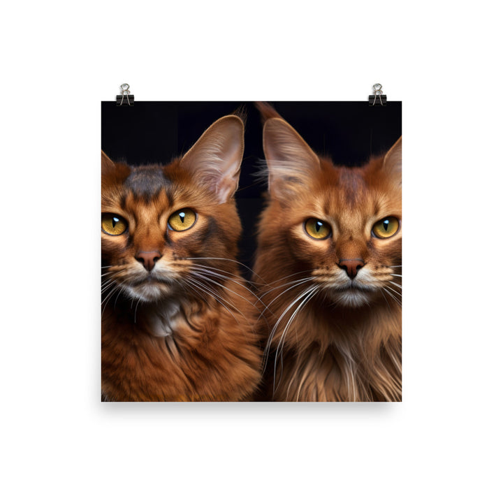 Somali Photo paper poster - PosterfyAI.com