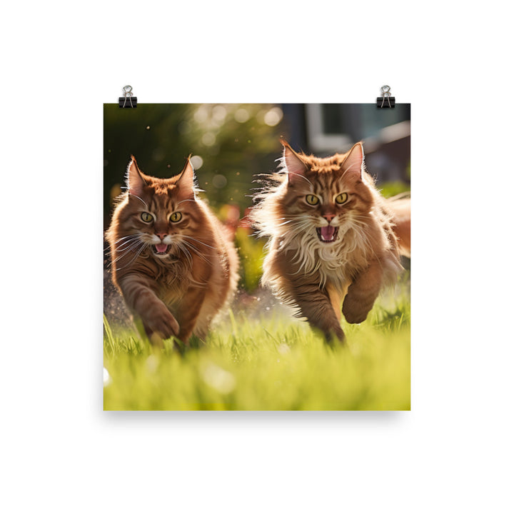 Somali Photo paper poster - PosterfyAI.com