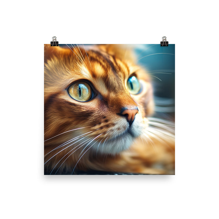 Somali Photo paper poster - PosterfyAI.com