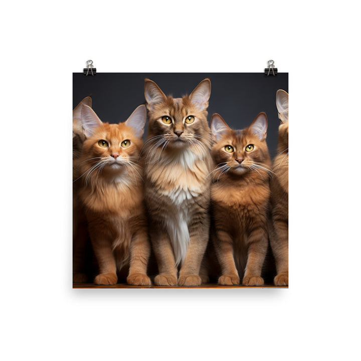 Somali Photo paper poster - PosterfyAI.com