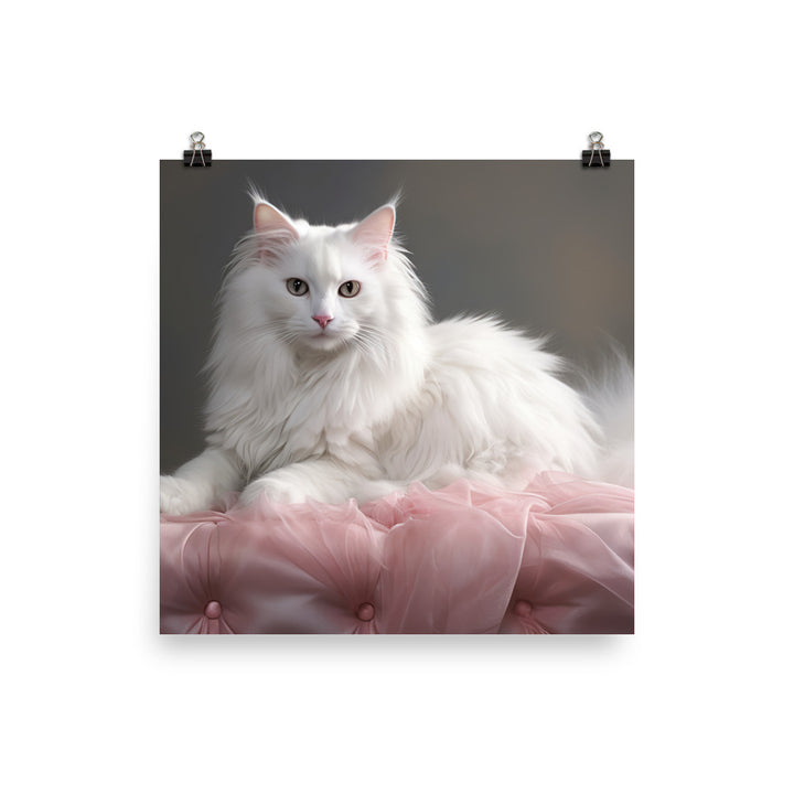 Turkish Angora Photo paper poster - PosterfyAI.com