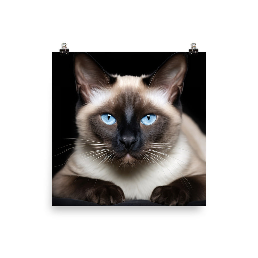 Siamese Photo paper poster - PosterfyAI.com