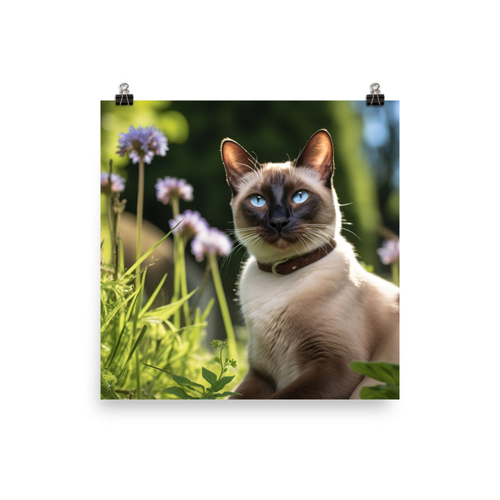 Siamese Photo paper poster - PosterfyAI.com
