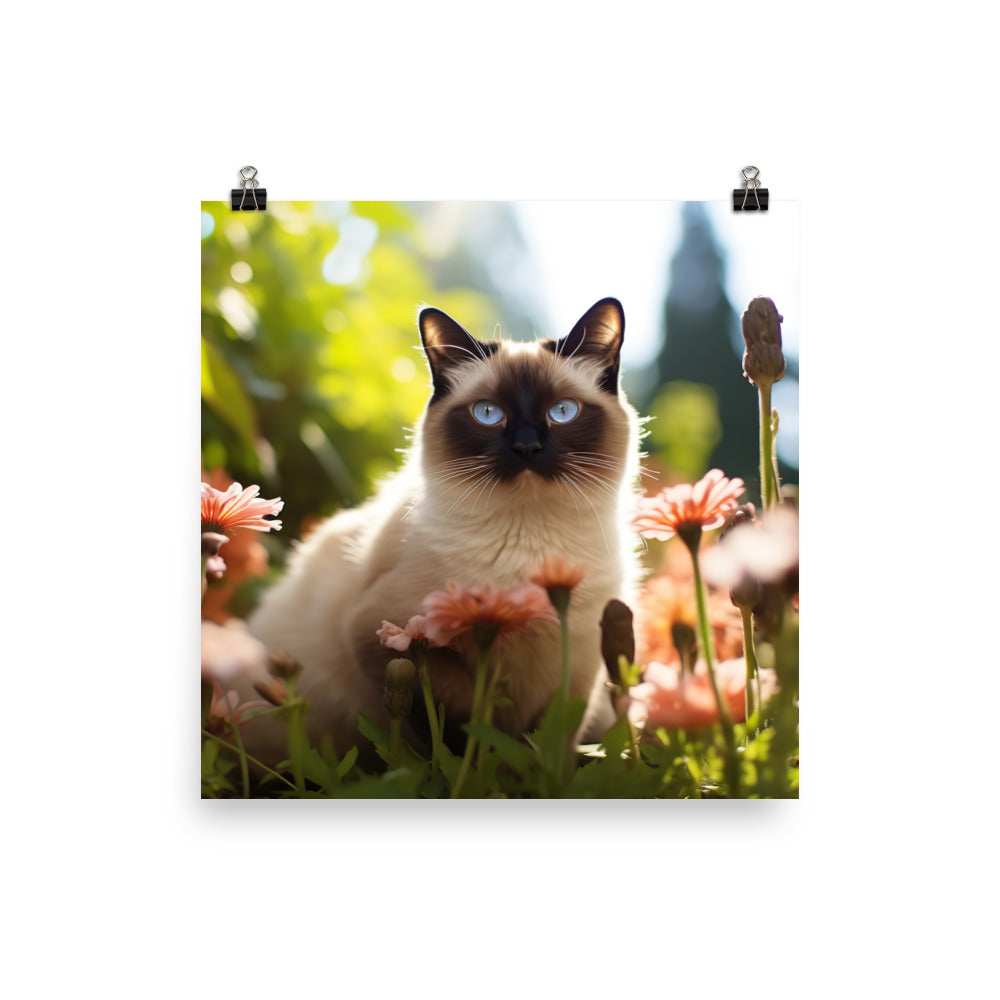 Siamese Photo paper poster - PosterfyAI.com