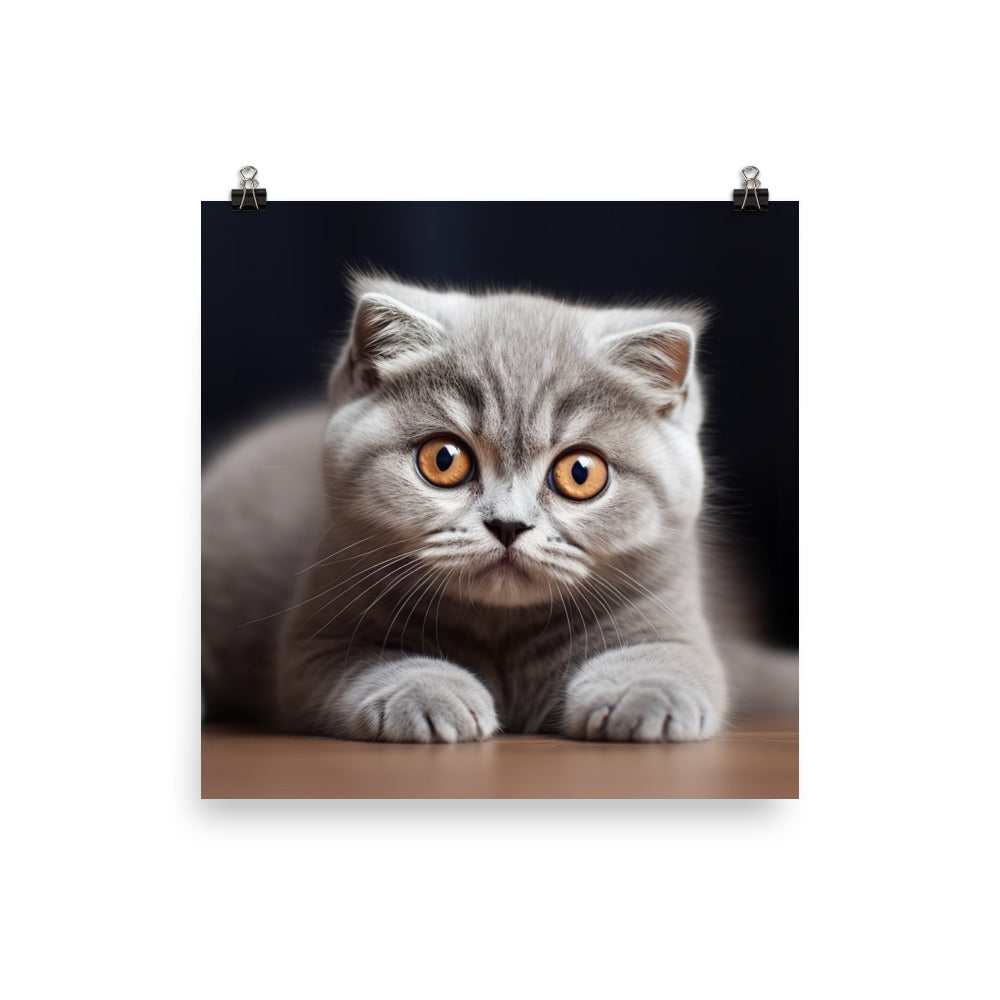 Scottish Fold Photo paper poster - PosterfyAI.com