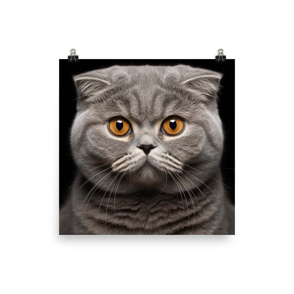 Scottish Fold Photo paper poster - PosterfyAI.com