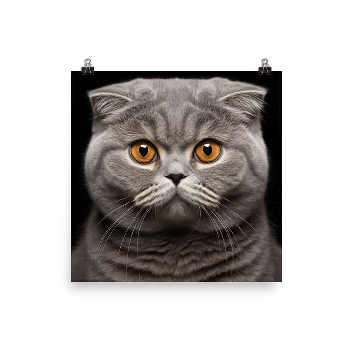 Scottish Fold Photo paper poster - PosterfyAI.com