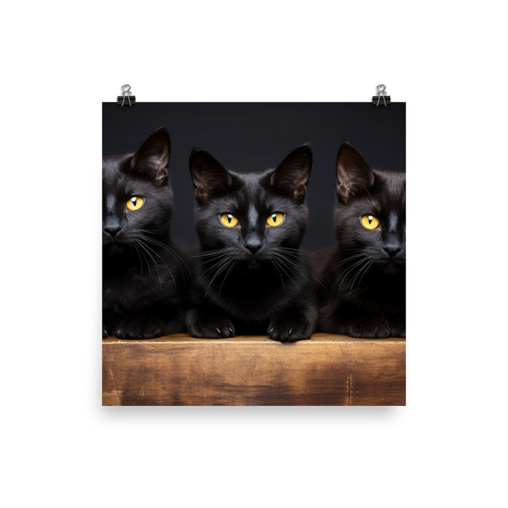 Bombay Photo paper poster - PosterfyAI.com