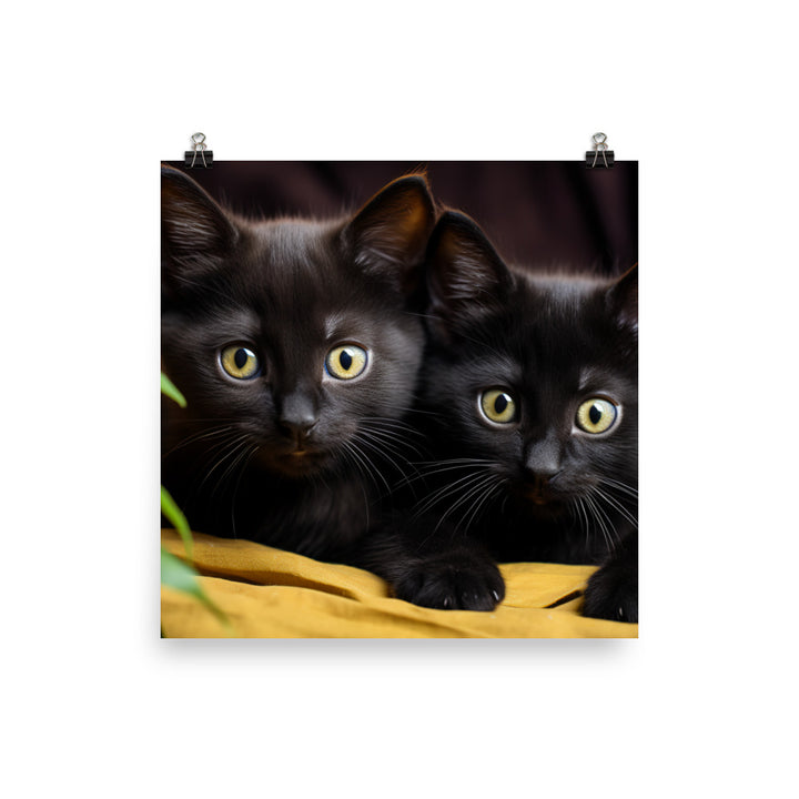 Bombay Photo paper poster - PosterfyAI.com