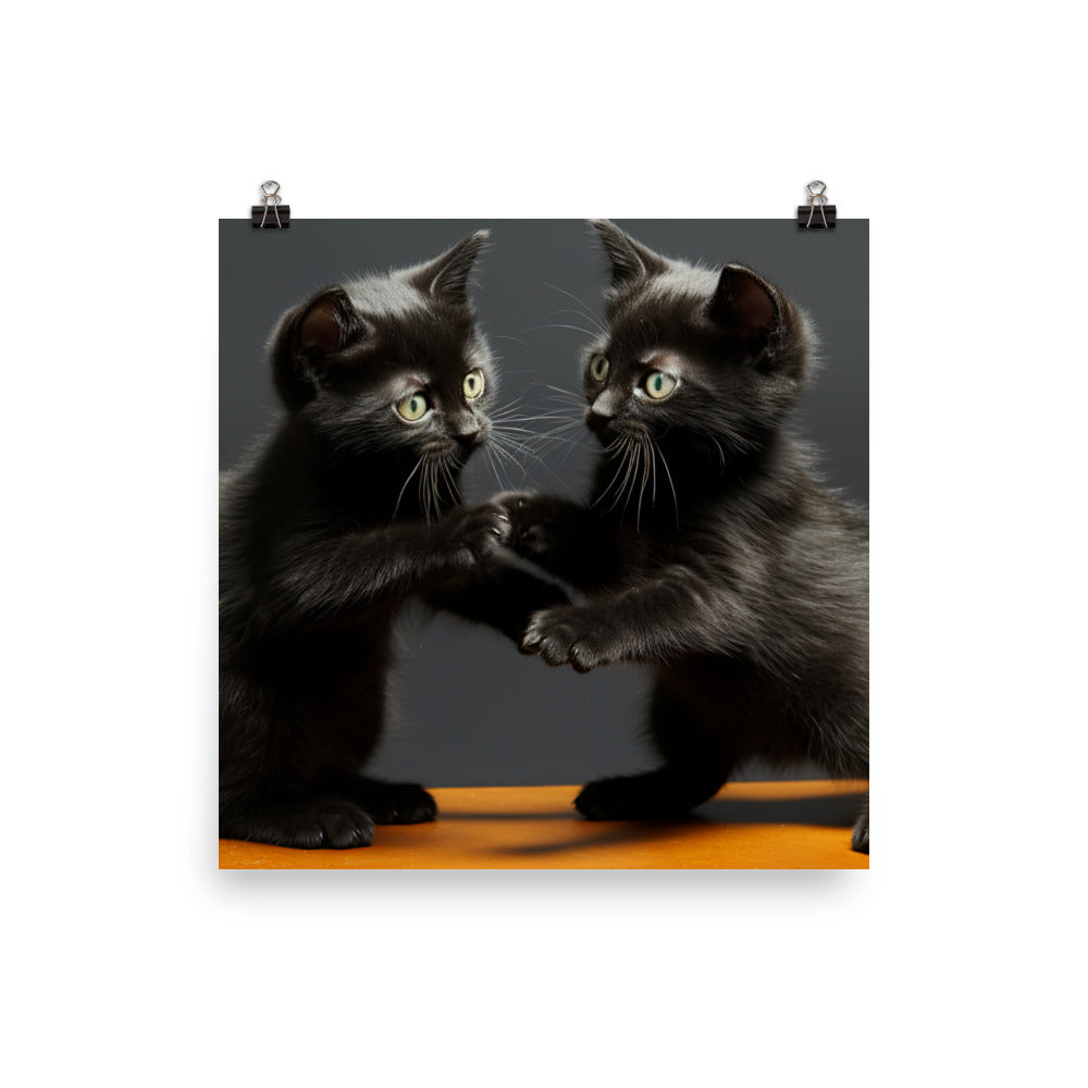 Bombay Photo paper poster - PosterfyAI.com