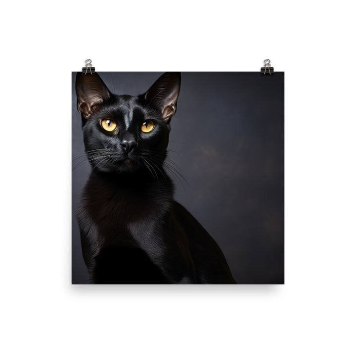 Bombay Photo paper poster - PosterfyAI.com