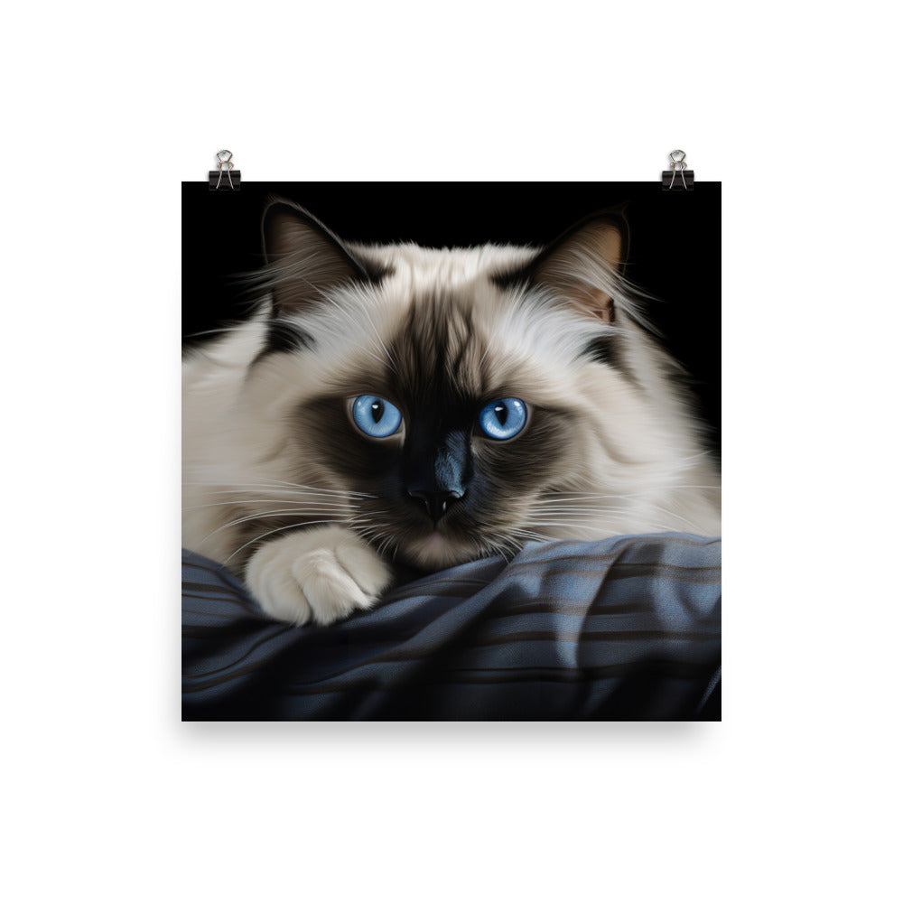 Birman Photo paper poster - PosterfyAI.com