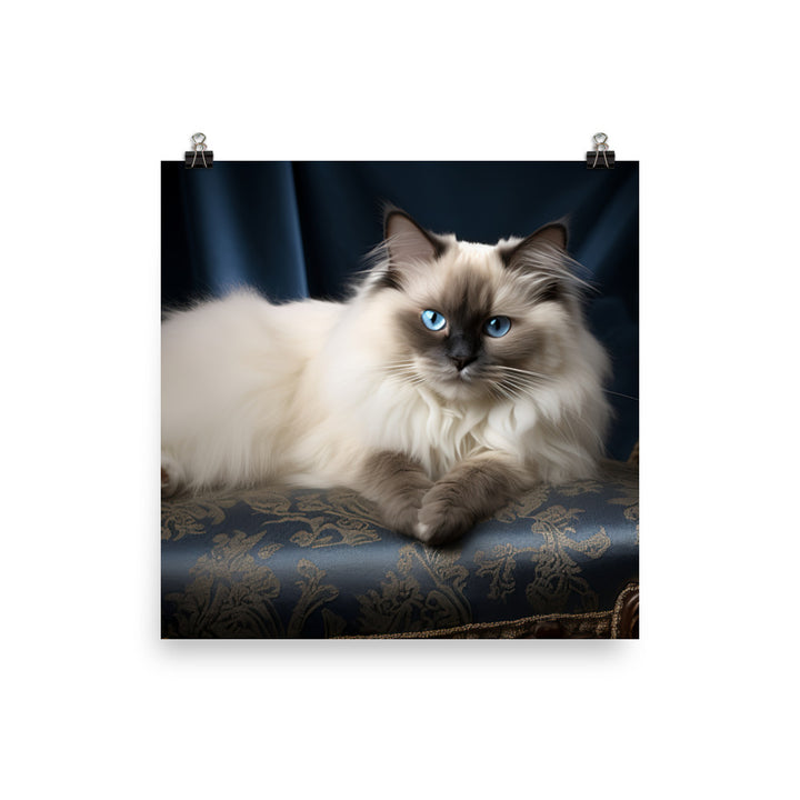 Birman Photo paper poster - PosterfyAI.com