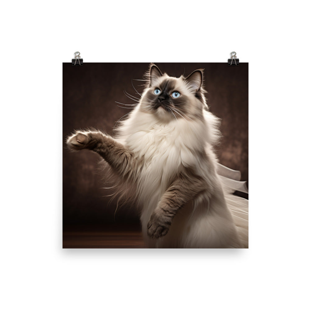 Birman Photo paper poster - PosterfyAI.com