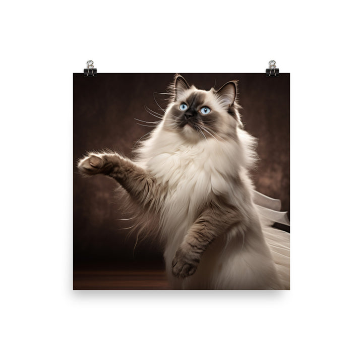 Birman Photo paper poster - PosterfyAI.com