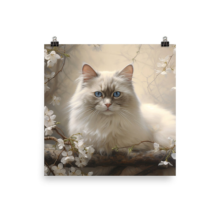 Birman Photo paper poster - PosterfyAI.com