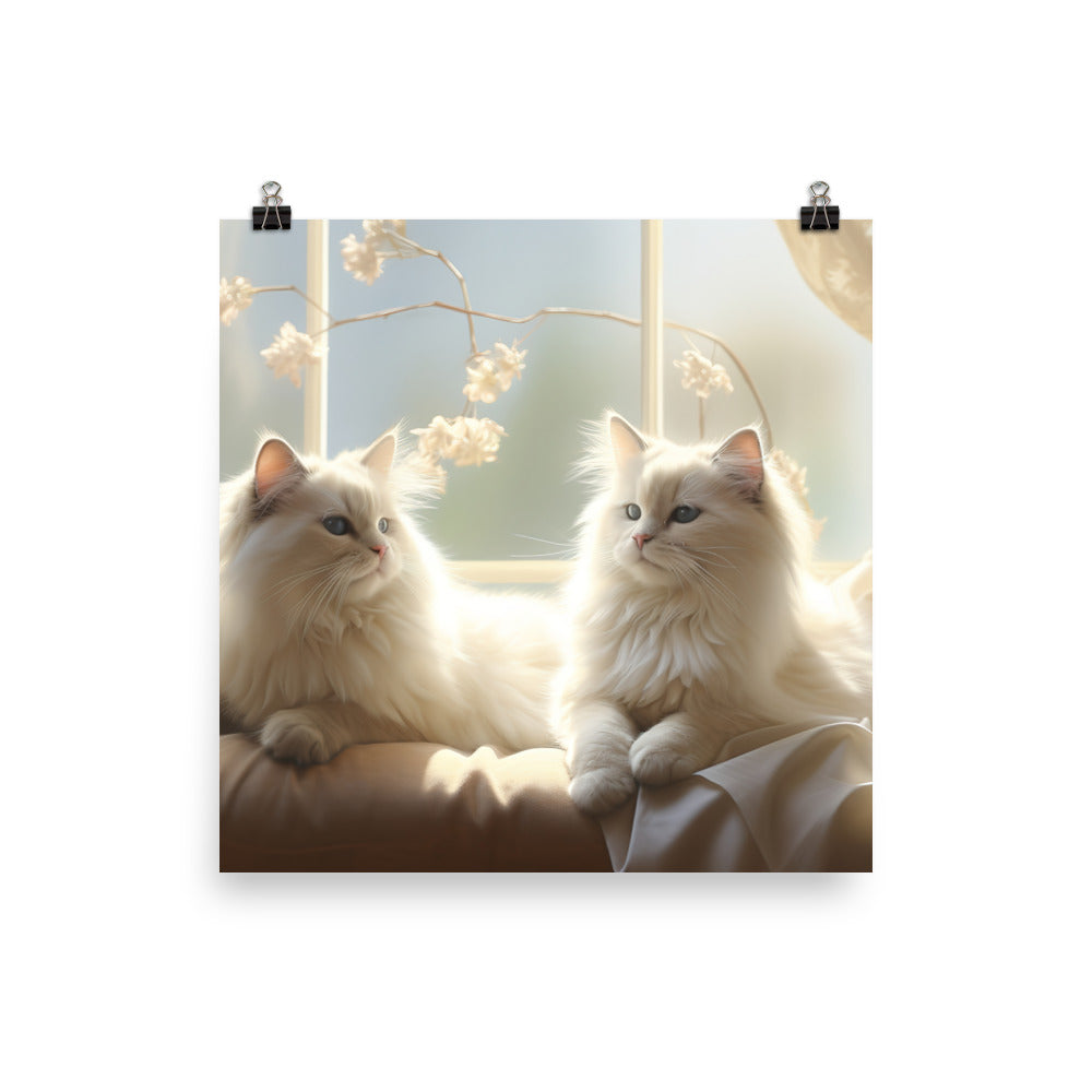 Birman Photo paper poster - PosterfyAI.com