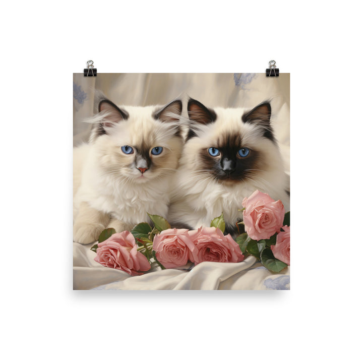 Birman Photo paper poster - PosterfyAI.com