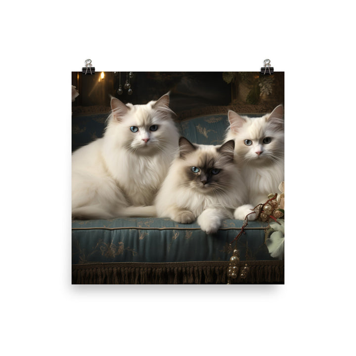 Birman Photo paper poster - PosterfyAI.com