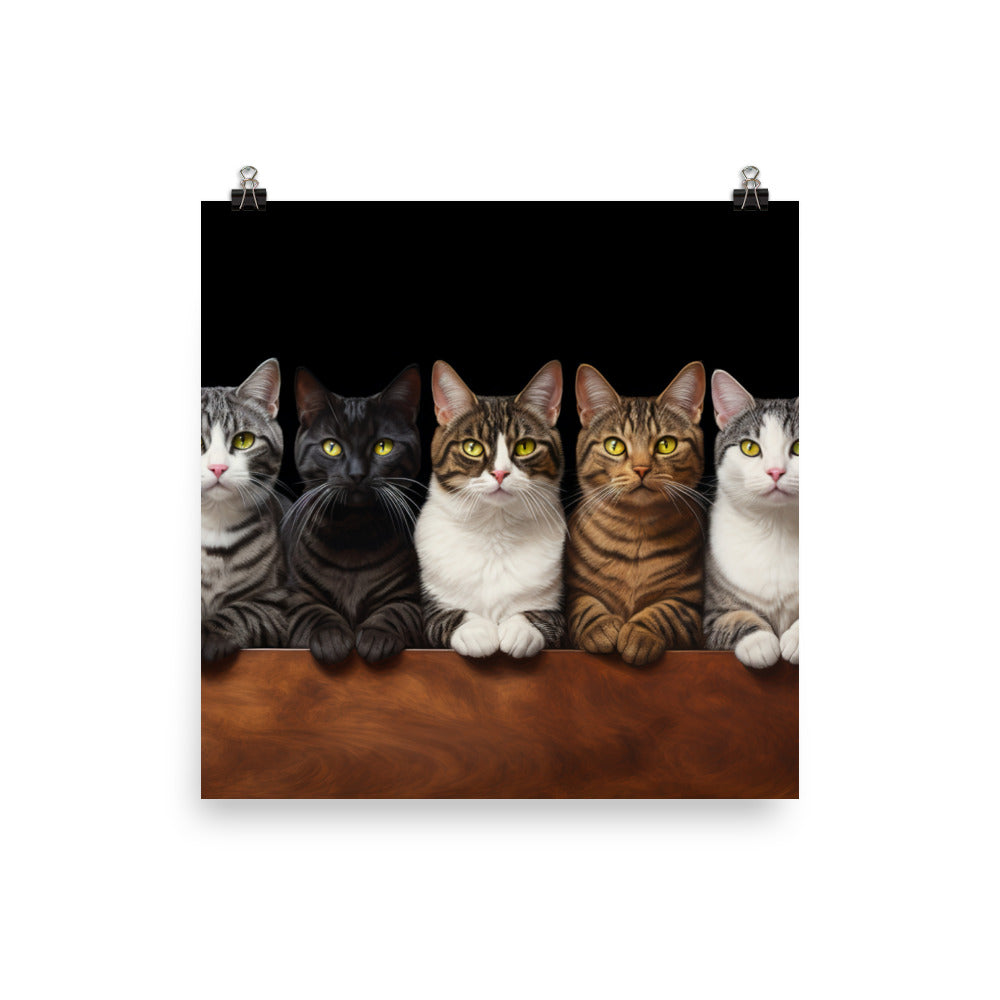 American Shorthair Photo paper poster - PosterfyAI.com