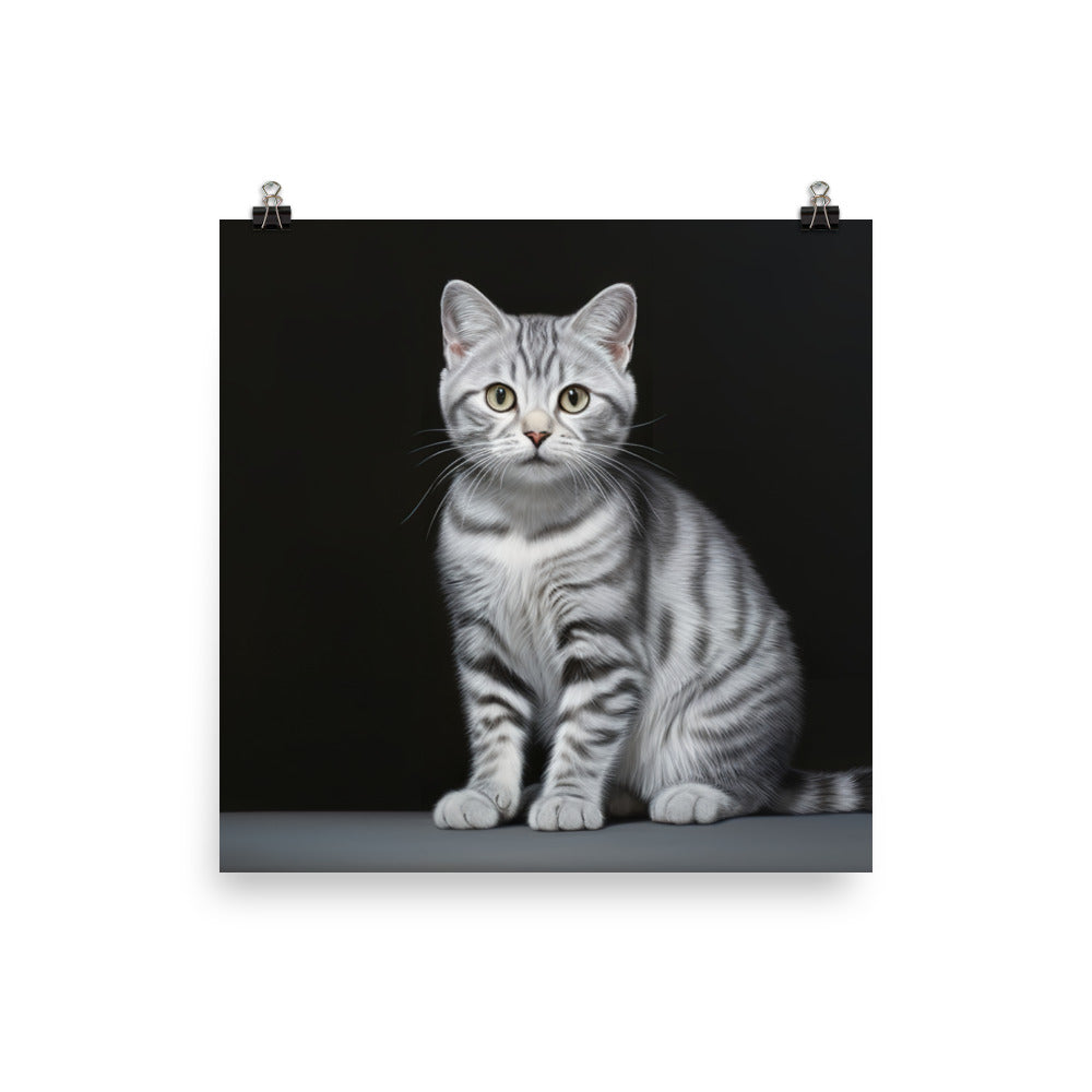 American Shorthair Photo paper poster - PosterfyAI.com