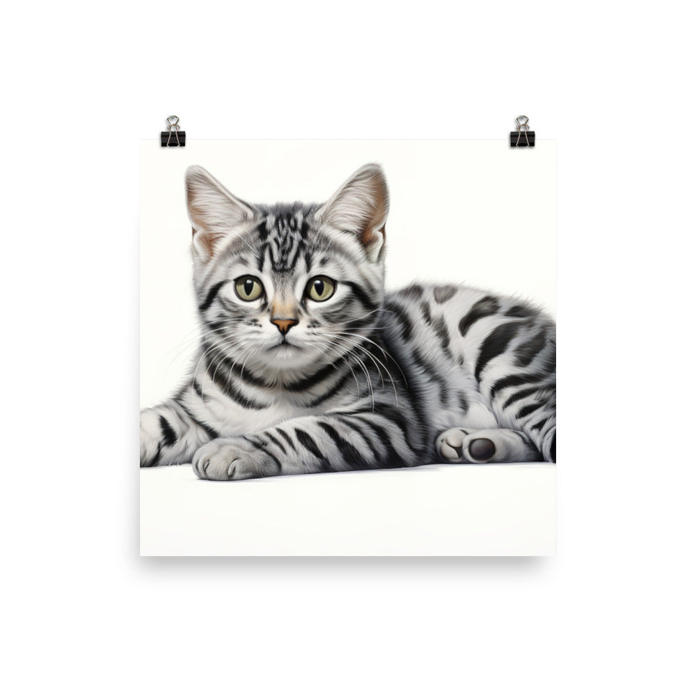 American Shorthair Photo paper poster - PosterfyAI.com