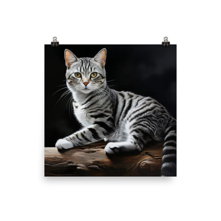 American Shorthair Photo paper poster - PosterfyAI.com