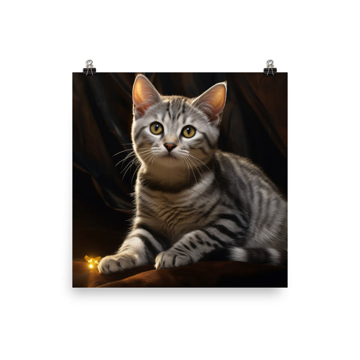 American Shorthair Photo paper poster - PosterfyAI.com