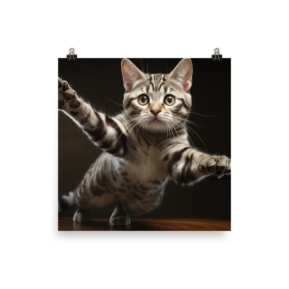 American Shorthair Photo paper poster - PosterfyAI.com