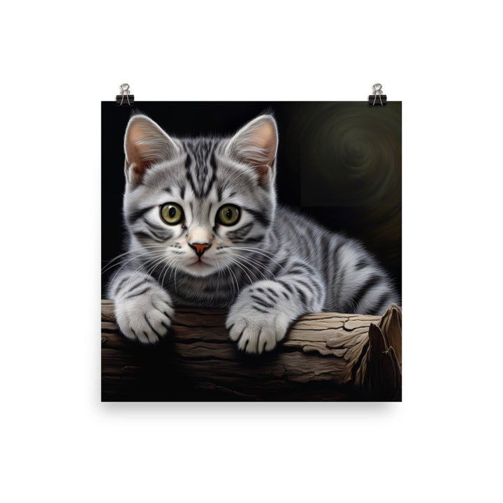 American Shorthair Photo paper poster - PosterfyAI.com