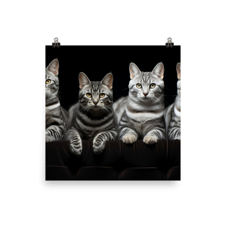 American Shorthair Photo paper poster - PosterfyAI.com