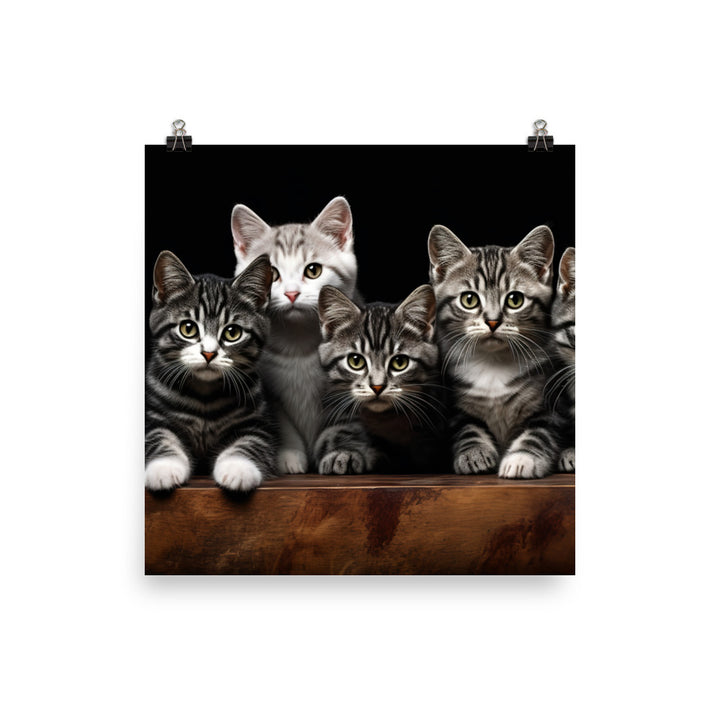 American Shorthair Photo paper poster - PosterfyAI.com
