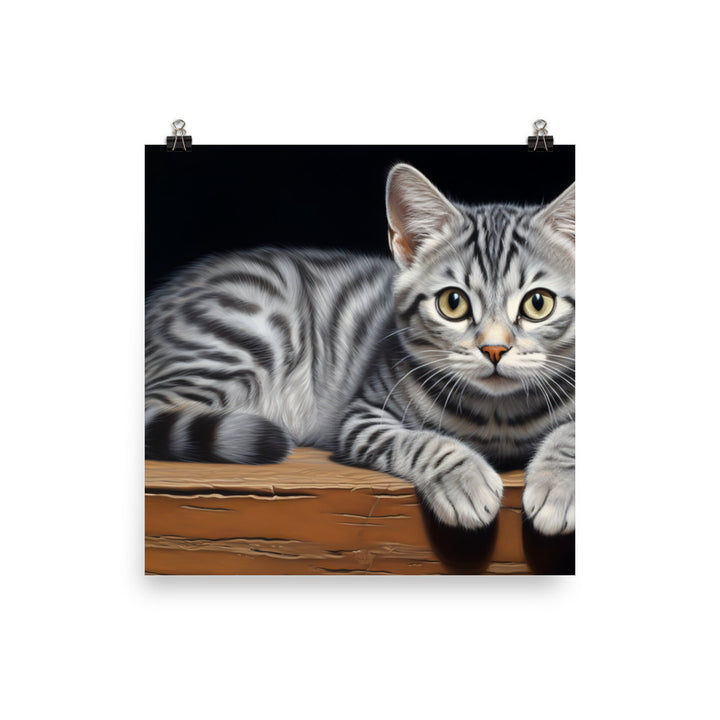American Shorthair Photo paper poster - PosterfyAI.com