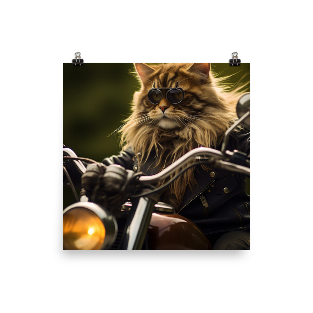 Maine Coon Superbike Athlete Photo paper poster - PosterfyAI.com