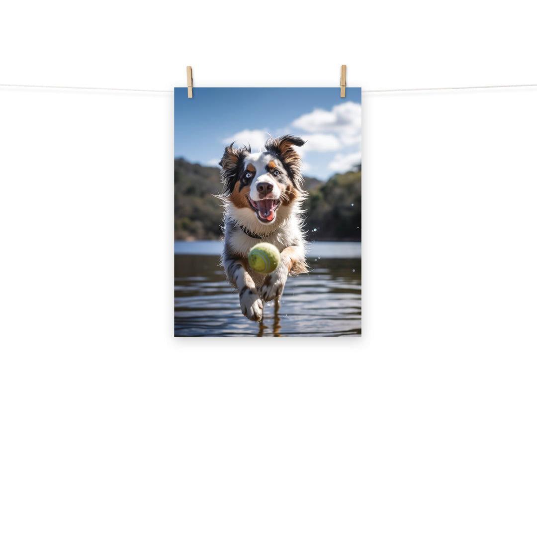 Australian Shepherd Photo paper poster - PosterfyAI.com