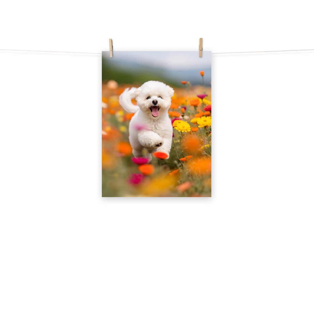 Bichon Frise Photo paper poster - PosterfyAI.com