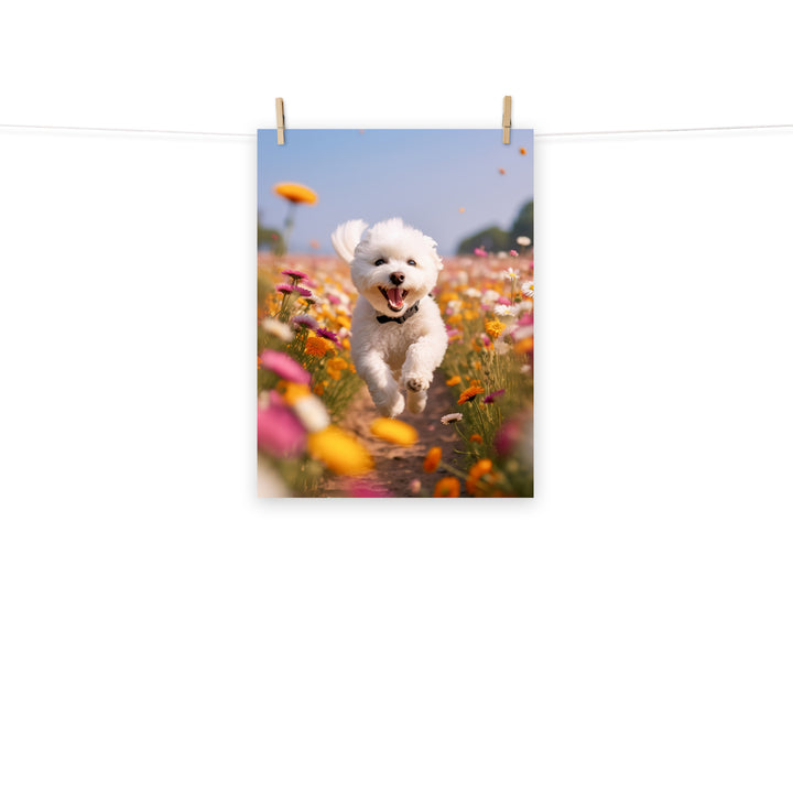 Bichon Frise Photo paper poster - PosterfyAI.com
