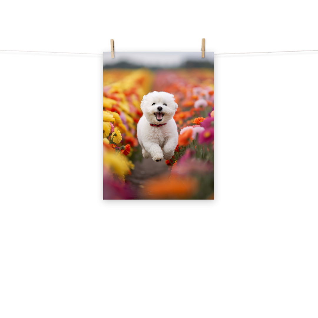 Bichon Frise Photo paper poster - PosterfyAI.com