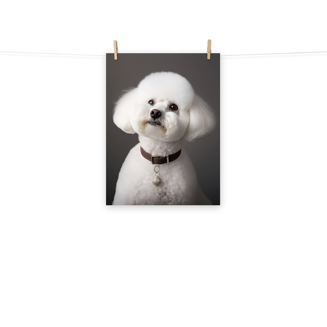 Bichon Frise Photo paper poster - PosterfyAI.com