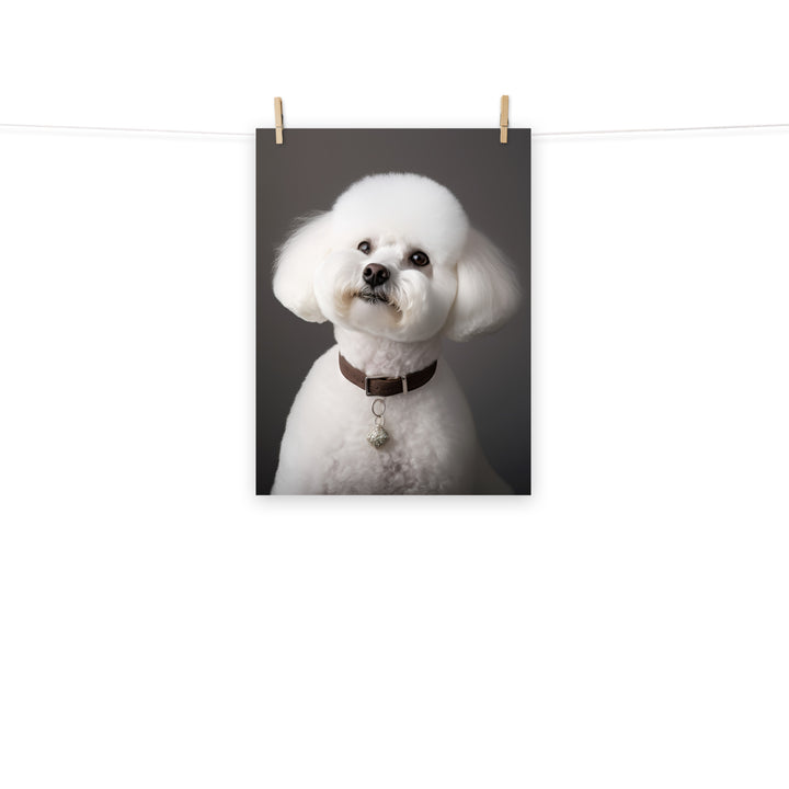 Bichon Frise Photo paper poster - PosterfyAI.com