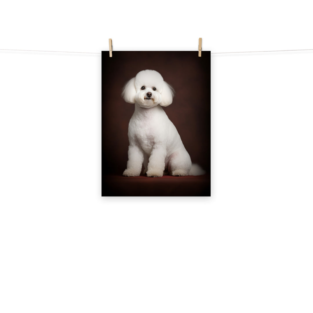 Bichon Frise Photo paper poster - PosterfyAI.com