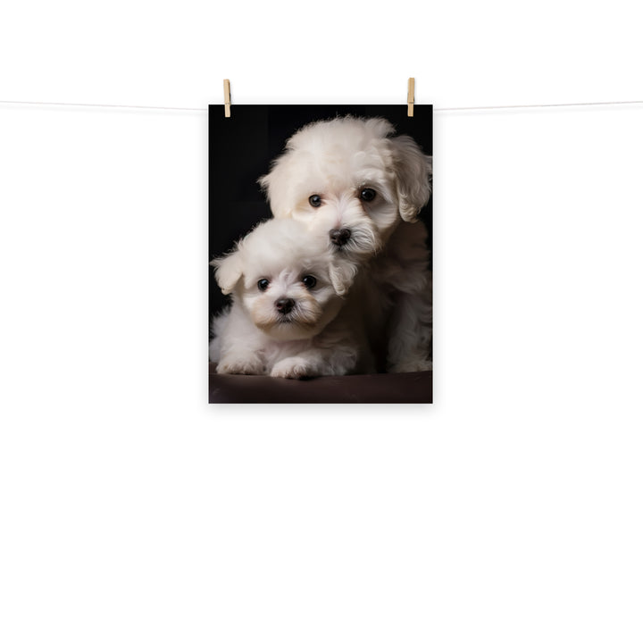 Bichon Frise Photo paper poster - PosterfyAI.com
